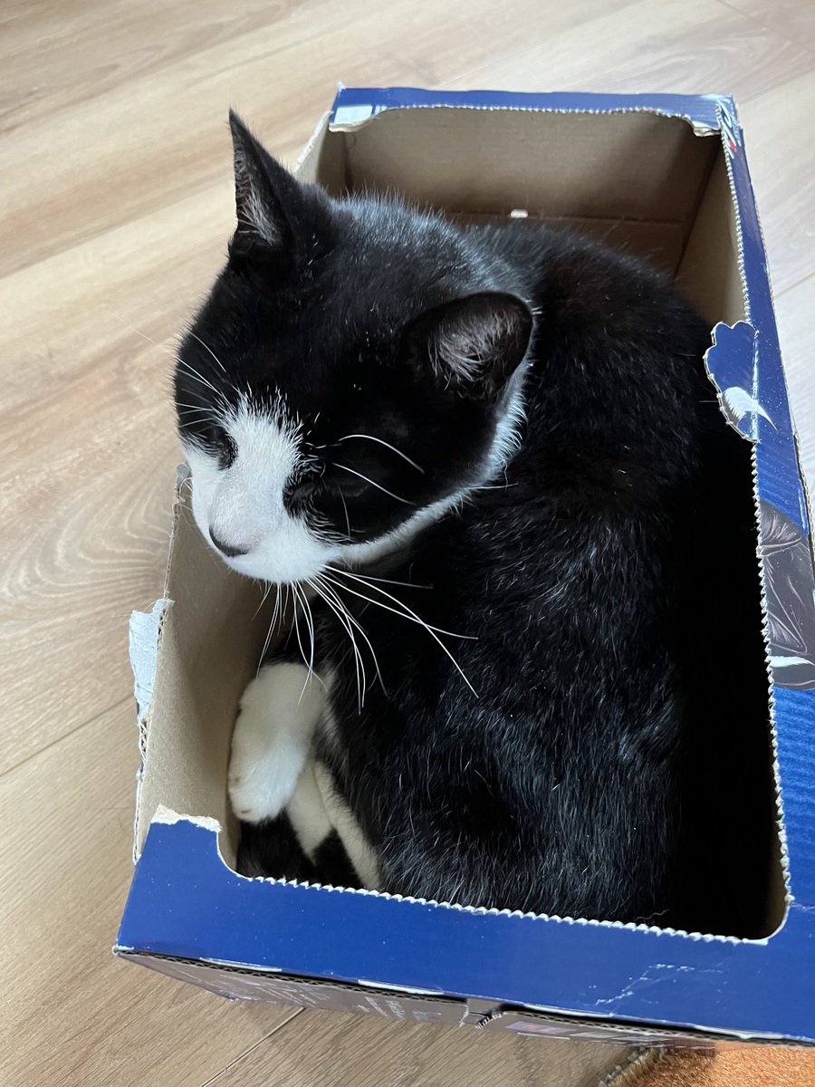 press and hold mouse button to enlarge